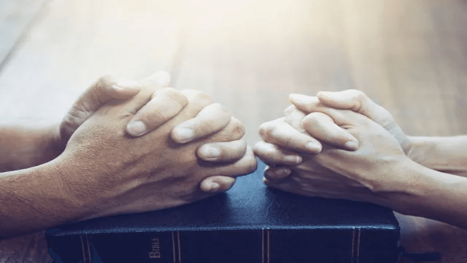 Copy 2 - The Faith That Pleases God