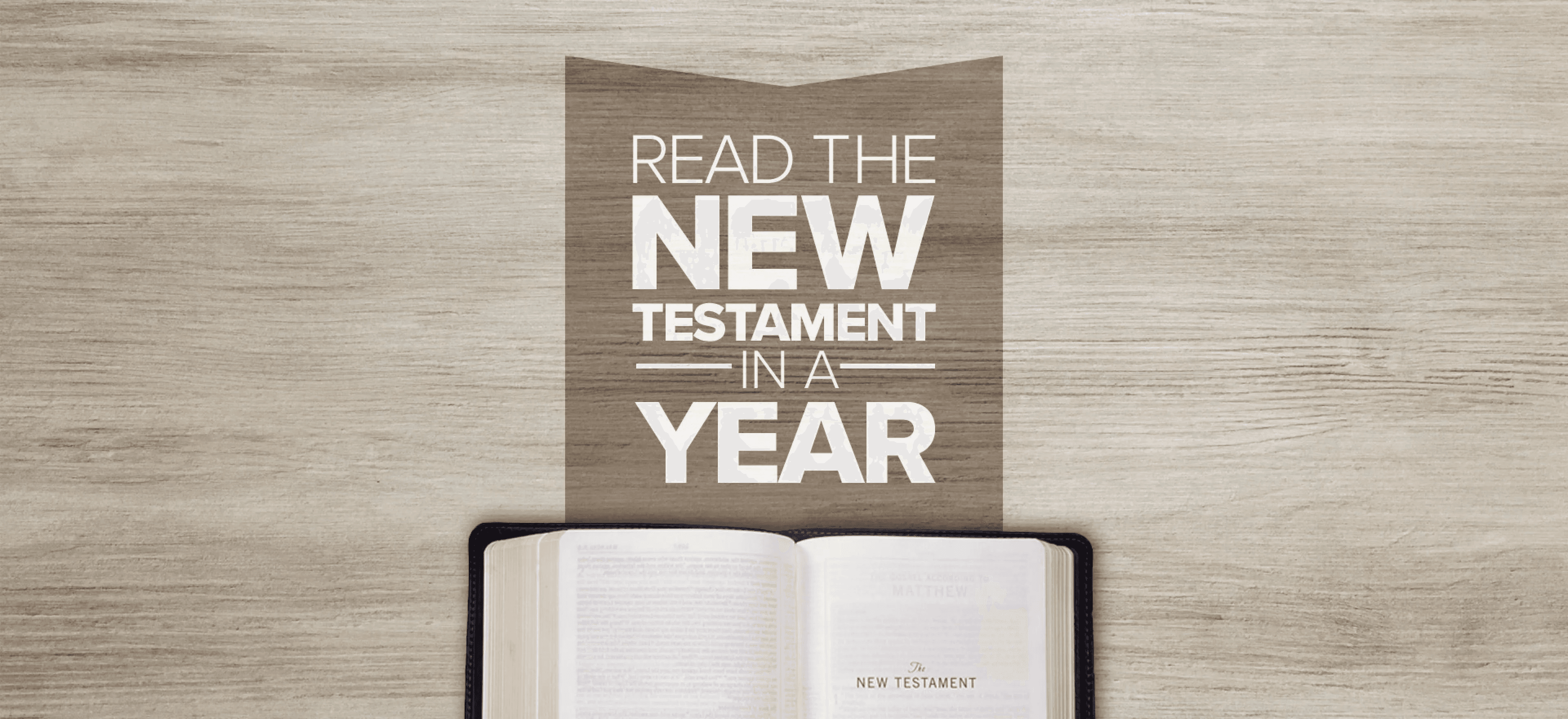 New Testament Bible in a Year